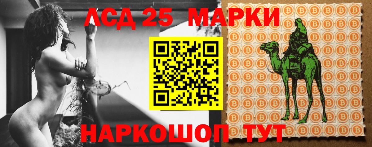  COCAIN Дмитров