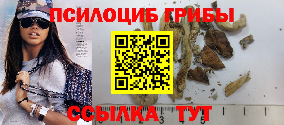 Псилоцибиновые грибы Psilocybine cubensis  Вход с VPN  Дмитров 